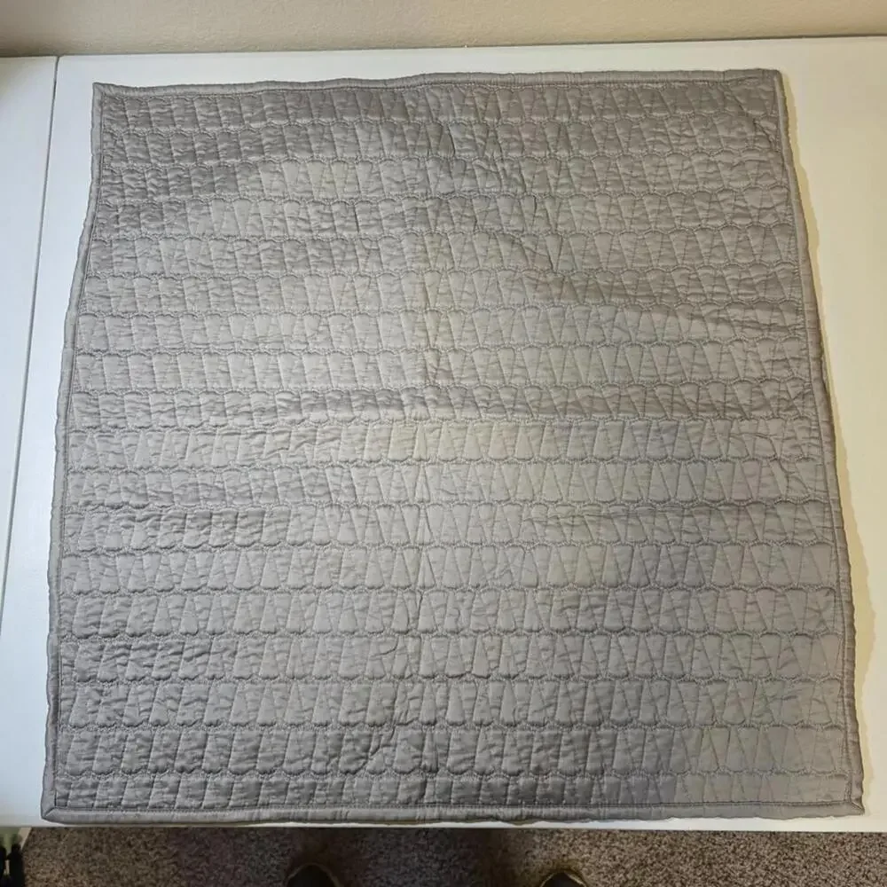 West Elm Euro Sham Cases - Gray